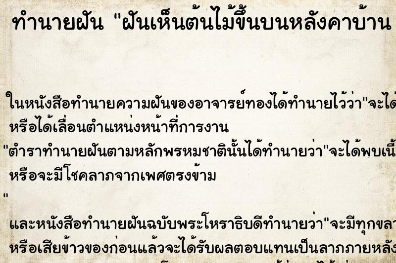 ทำนายฝันทำนายฝันฝันเห็นต้นไม้ขึ้นบนหลังคาบ้าน